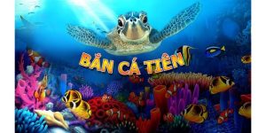 Đôi nét về bắn cá tiên 